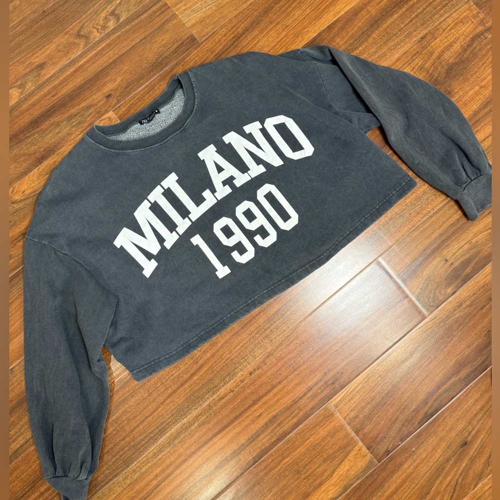 Zara Cropped Crewneck Sweatshirt